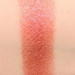 Urban Decay Backtalk: Review & Swatches urban decay backtalk attitude eye shadow swatch