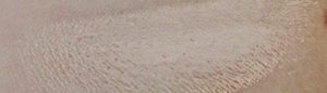 anastasia beverly hills contour kit soft light color swatch on skin
